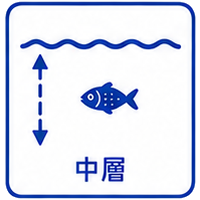 中層