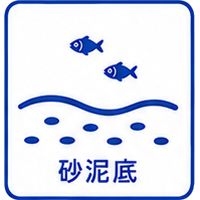 砂泥底