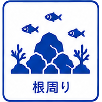 根周り