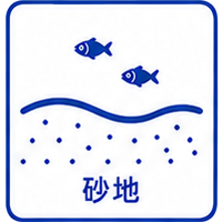 砂地